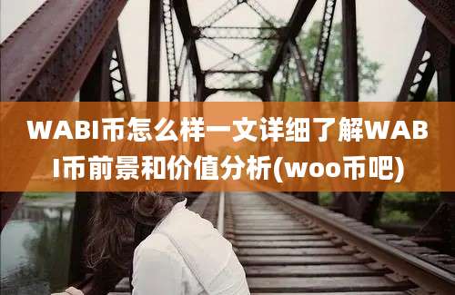 WABI币怎么样一文详细了解WABI币前景和价值分析(woo币吧)