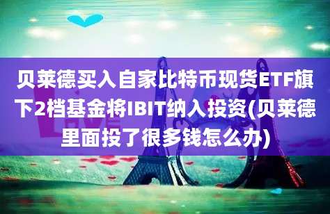 贝莱德买入自家比特币现货ETF旗下2档基金将IBIT纳入投资(贝莱德里面投了很多钱怎么办)