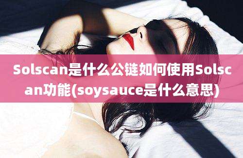 Solscan是什么公链如何使用Solscan功能(soysauce是什么意思)