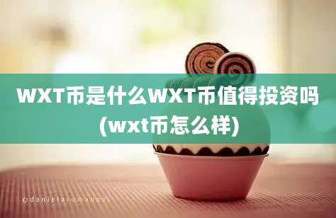 WXT币是什么WXT币值得投资吗(wxt币怎么样)