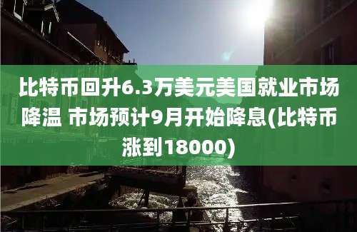 比特币回升6.3万美元美国就业市场降温 市场预计9月开始降息(比特币涨到18000)