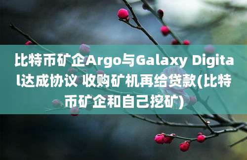 比特币矿企Argo与Galaxy Digital达成协议 收购矿机再给贷款(比特币矿企和自己挖矿)