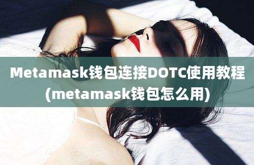 Metamask钱包连接DOTC使用教程(metamask钱包怎么用)