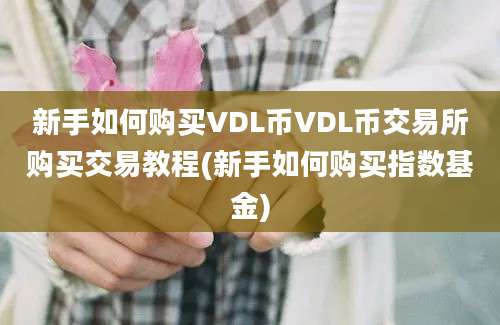 新手如何购买VDL币VDL币交易所购买交易教程(新手如何购买指数基金)