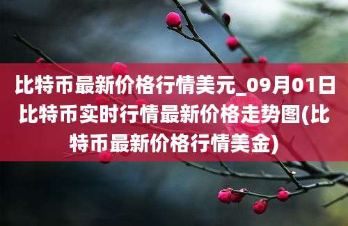 比特币最新价格行情美元_09月01日比特币实时行情最新价格走势图(比特币最新价格行情美金)