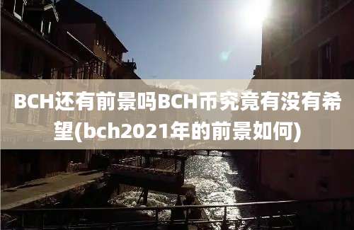 BCH还有前景吗BCH币究竟有没有希望(bch2021年的前景如何)