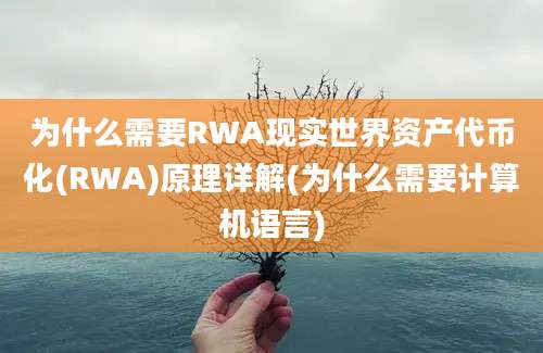 为什么需要RWA现实世界资产代币化(RWA)原理详解(为什么需要计算机语言)