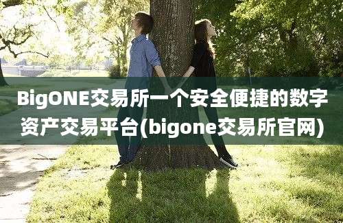 BigONE交易所一个安全便捷的数字资产交易平台(bigone交易所官网)