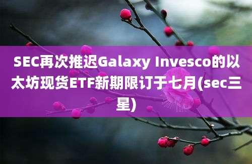 SEC再次推迟Galaxy Invesco的以太坊现货ETF新期限订于七月(sec三星)