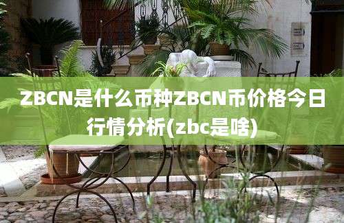 ZBCN是什么币种ZBCN币价格今日行情分析(zbc是啥)