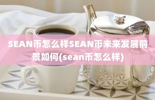 SEAN币怎么样SEAN币未来发展前景如何(sean币怎么样)