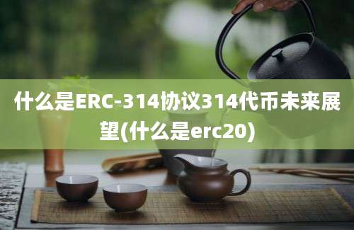 什么是ERC-314协议314代币未来展望(什么是erc20)