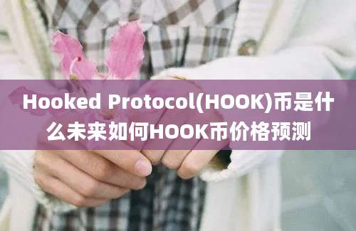 Hooked Protocol(HOOK)币是什么未来如何HOOK币价格预测