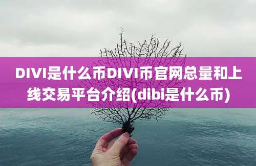 DIVI是什么币DIVI币官网总量和上线交易平台介绍(dibi是什么币)