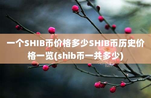 一个SHIB币价格多少SHIB币历史价格一览(shib币一共多少)