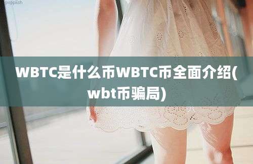 WBTC是什么币WBTC币全面介绍(wbt币骗局)