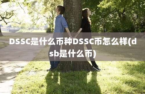 DSSC是什么币种DSSC币怎么样(dsb是什么币)