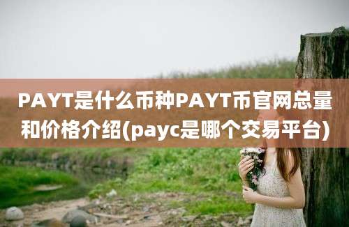 PAYT是什么币种PAYT币官网总量和价格介绍(payc是哪个交易平台)