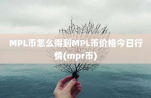 MPL币怎么得到MPL币价格今日行情(mpr币)