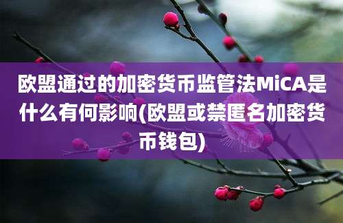 欧盟通过的加密货币监管法MiCA是什么有何影响(欧盟或禁匿名加密货币钱包)