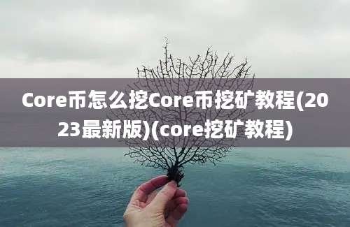 Core币怎么挖Core币挖矿教程(2023最新版)(core挖矿教程)