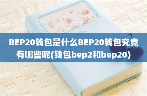 BEP20钱包是什么BEP20钱包究竟有哪些呢(钱包bep2和bep20)