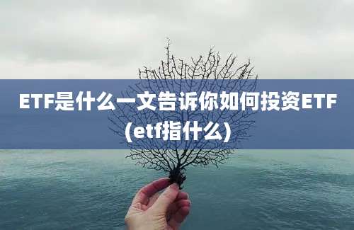 ETF是什么一文告诉你如何投资ETF(etf指什么)