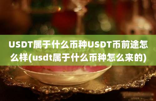 USDT属于什么币种USDT币前途怎么样(usdt属于什么币种怎么来的)