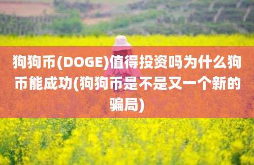 狗狗币(DOGE)值得投资吗为什么狗币能成功(狗狗币是不是又一个新的骗局)