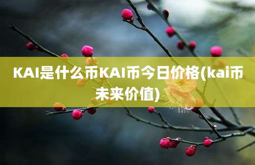 KAI是什么币KAI币今日价格(kai币未来价值)