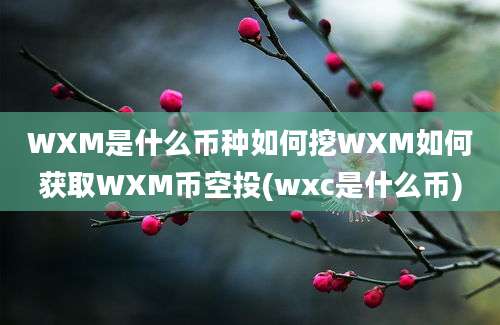 WXM是什么币种如何挖WXM如何获取WXM币空投(wxc是什么币)