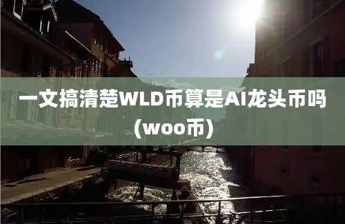 一文搞清楚WLD币算是AI龙头币吗(woo币)