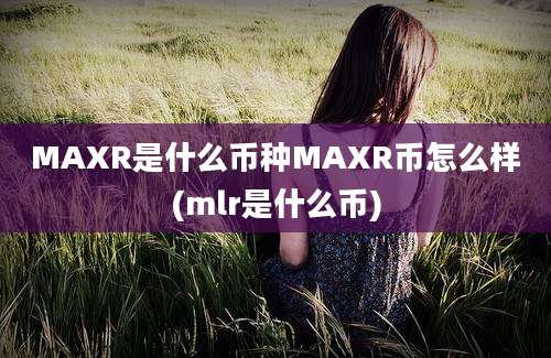 MAXR是什么币种MAXR币怎么样(mlr是什么币)