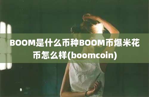 BOOM是什么币种BOOM币爆米花币怎么样(boomcoin)