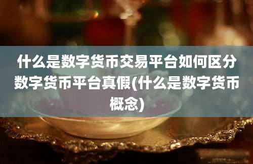 什么是数字货币交易平台如何区分数字货币平台真假(什么是数字货币概念)