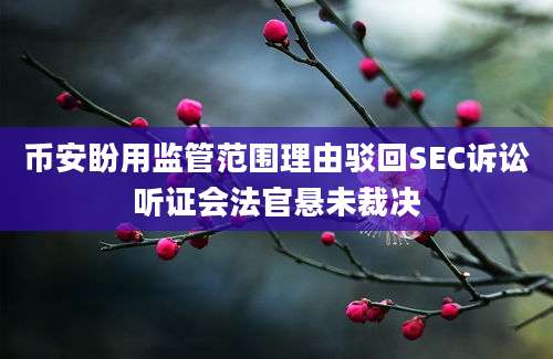 币安盼用监管范围理由驳回SEC诉讼听证会法官悬未裁决