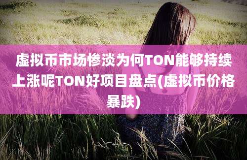 虚拟币市场惨淡为何TON能够持续上涨呢TON好项目盘点(虚拟币价格暴跌)