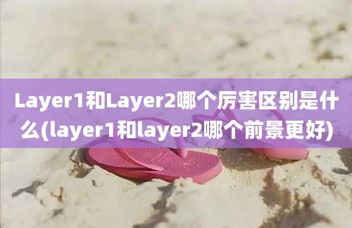 Layer1和Layer2哪个厉害区别是什么(layer1和layer2哪个前景更好)