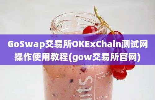 GoSwap交易所OKExChain测试网操作使用教程(gow交易所官网)