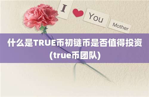 什么是TRUE币初链币是否值得投资(true币团队)