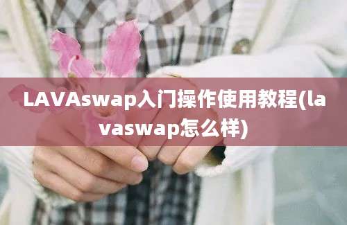 LAVAswap入门操作使用教程(lavaswap怎么样)