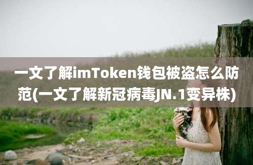 一文了解imToken钱包被盗怎么防范(一文了解新冠病毒JN.1变异株)