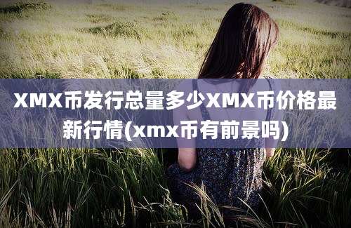 XMX币发行总量多少XMX币价格最新行情(xmx币有前景吗)