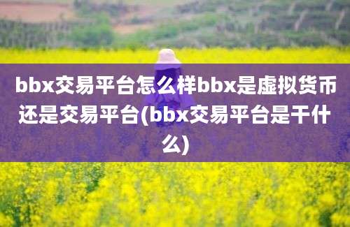 bbx交易平台怎么样bbx是虚拟货币还是交易平台(bbx交易平台是干什么)