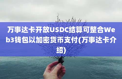 万事达卡开放USDC结算可整合Web3钱包以加密货币支付(万事达卡介绍)