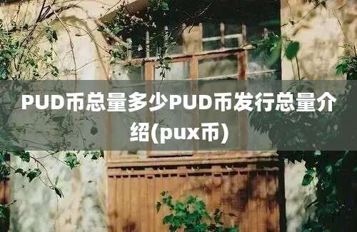 PUD币总量多少PUD币发行总量介绍(pux币)