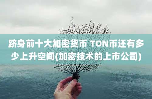 跻身前十大加密货币 TON币还有多少上升空间(加密技术的上市公司)