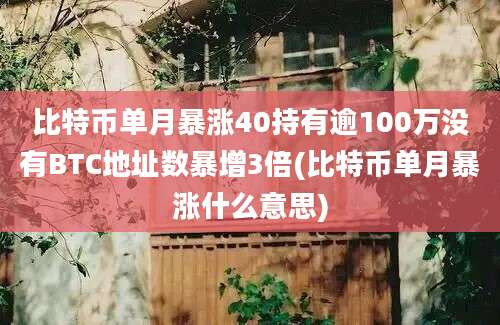 比特币单月暴涨40持有逾100万没有BTC地址数暴增3倍(比特币单月暴涨什么意思)