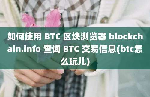 如何使用 BTC 区块浏览器 blockchain.info 查询 BTC 交易信息(btc怎么玩儿)