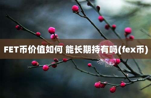 FET币价值如何 能长期持有吗(fex币)